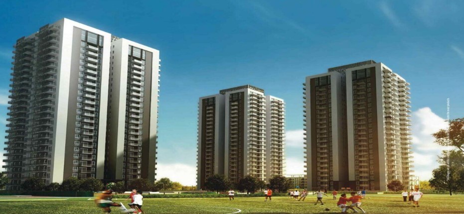 Conscient Heritage One